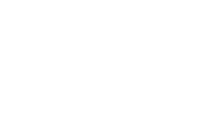 CVVC