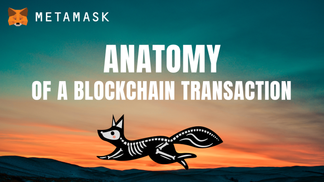 What's the Anatomy of a Blockchain Transaction?