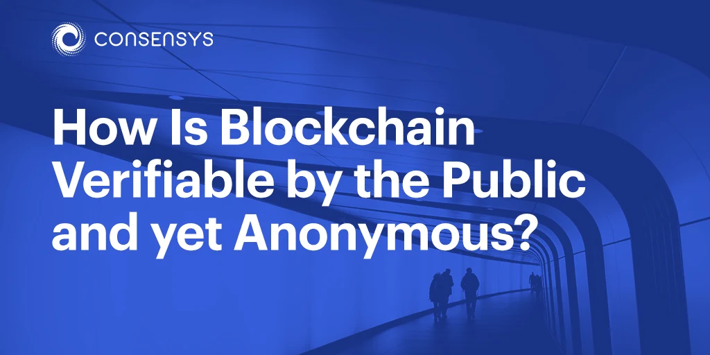 Image: How Is Blockchain Verifiable by the Public and yet Anonymous?