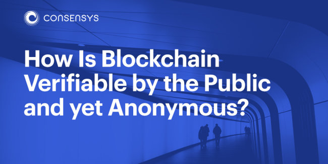 How Is Blockchain Verifiable by the Public and yet Anonymous?