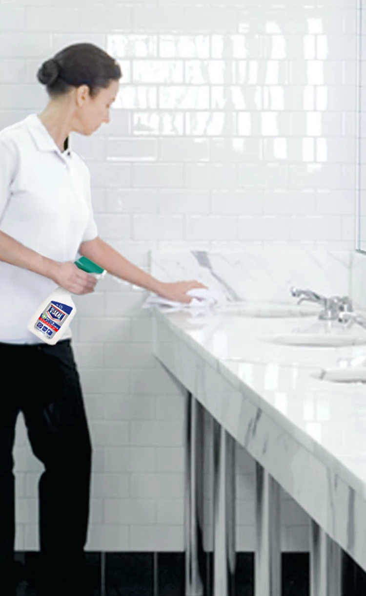 Bathroom Cleaning