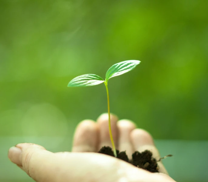 Green & Clean, notre programme dédié à la propreté et l’hygiène durables