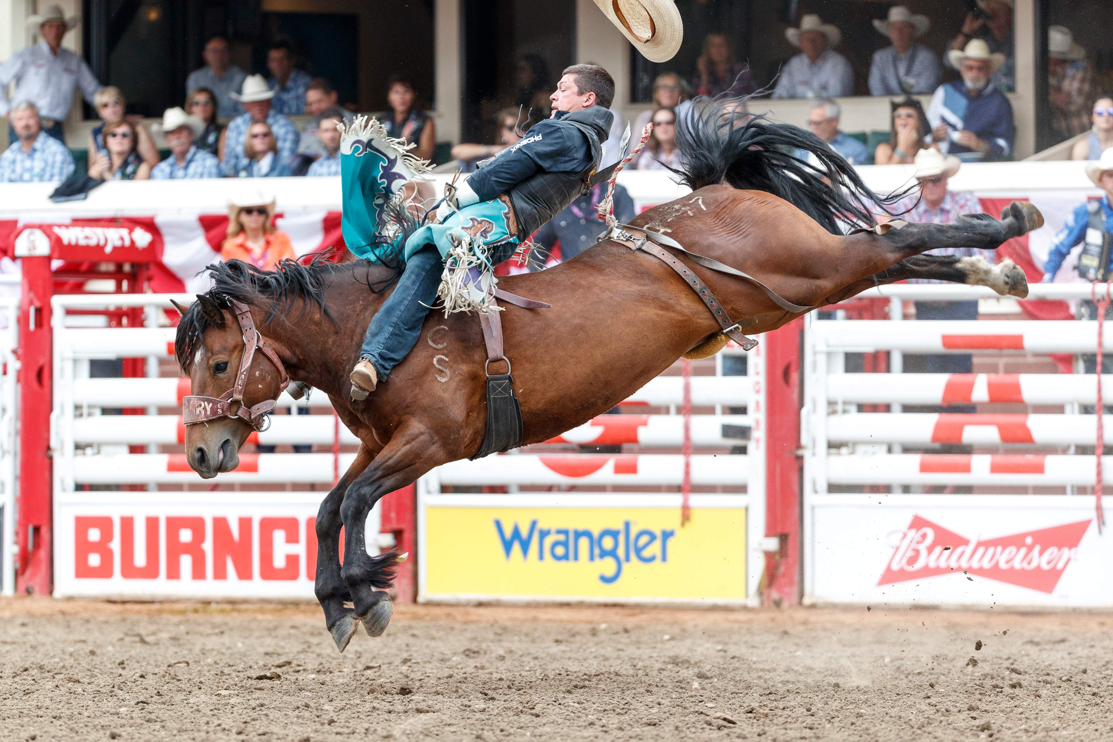 The Calgary Stampede 2023 Is Free At These Times & Here's Everything You  Need To Know - Narcity