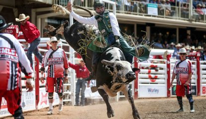 Bull Riding 