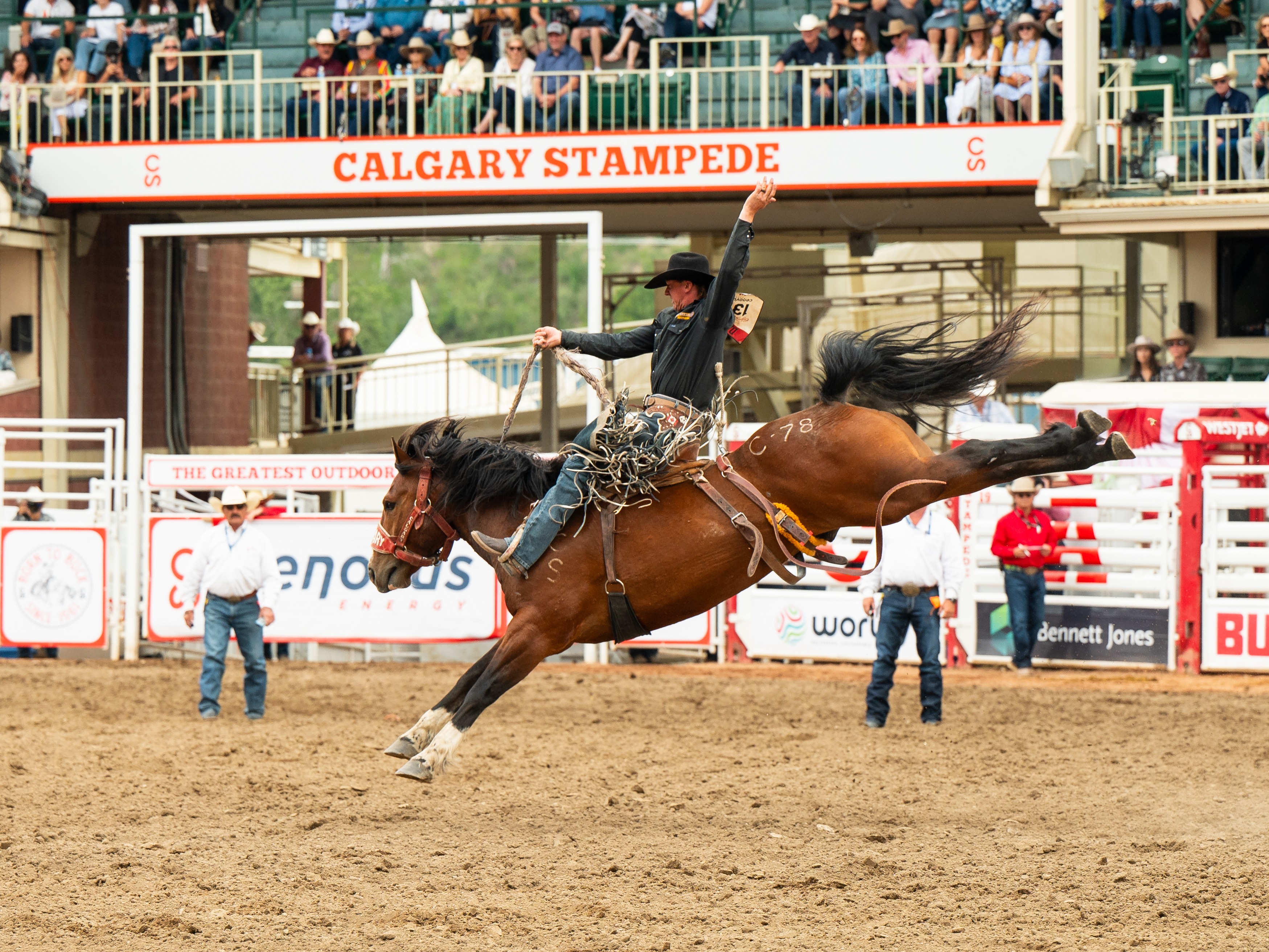 Renewal Clients for 2025 Rodeo & Evening Show Tickets