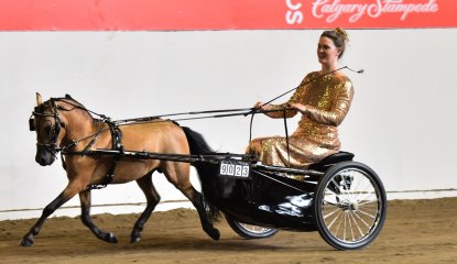 Canadian National Miniature Horse Show