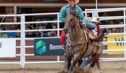 Tie-Down Roping