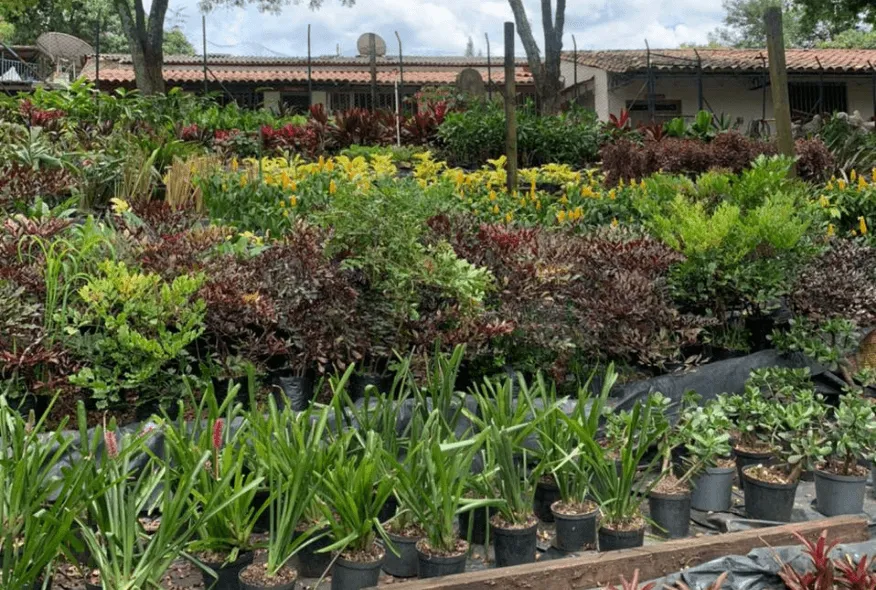 Parque Copacabana