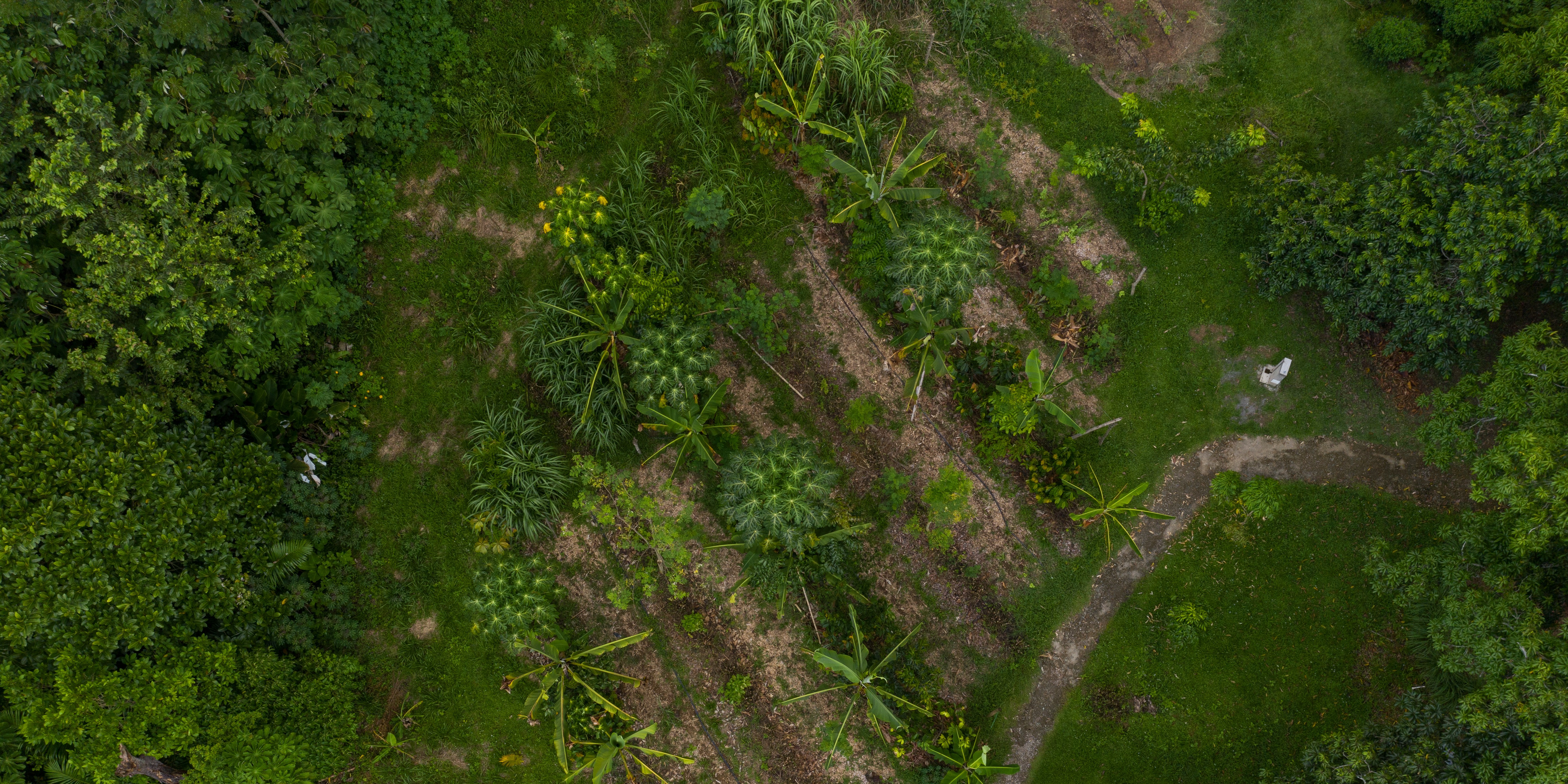 Agroecologia banner.jpg