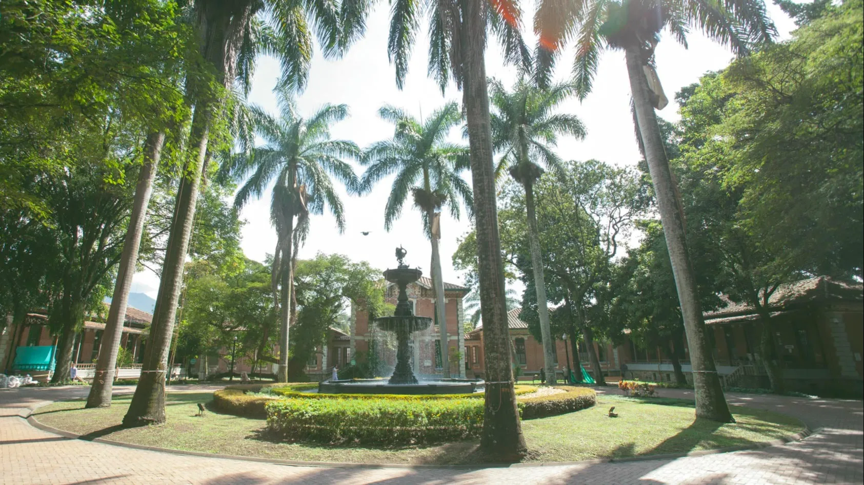 alejandro-mejia-cronicas-del-barrio-hospital-san-vicente-fundacion-fuente