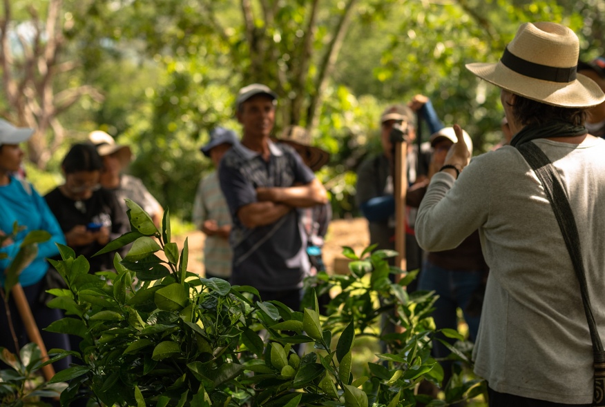 portada-regeneracion