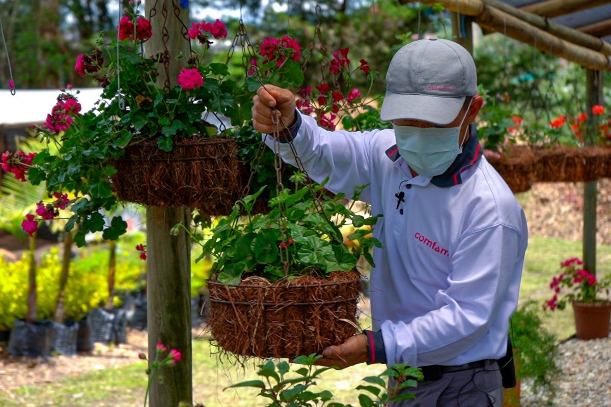 Vivero en el Parque Comfama Rionegro Tutucán