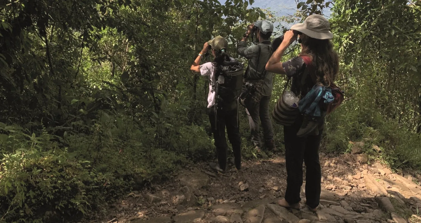 Excursionistas biosuroeste