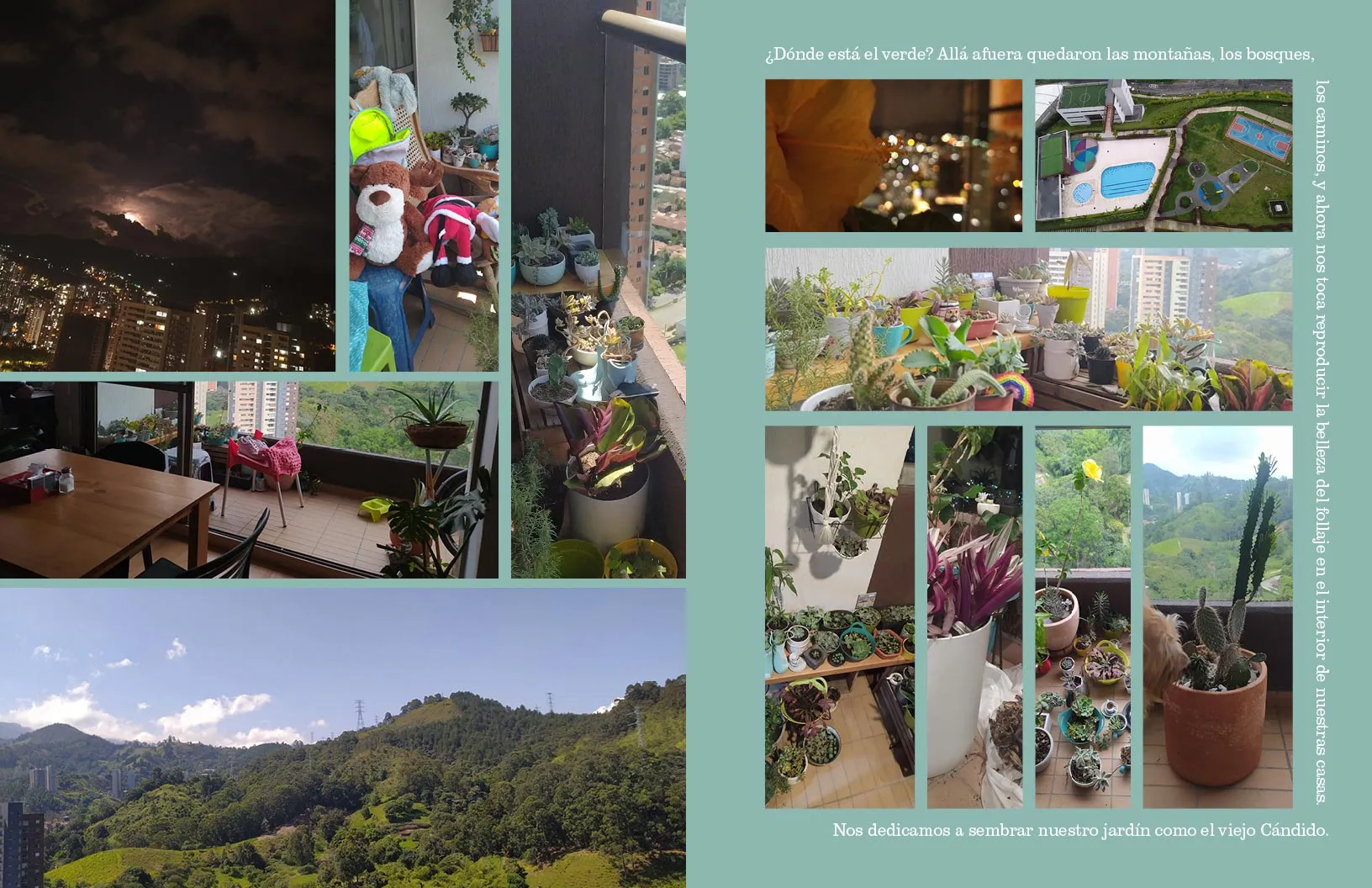 medellin_a_solas_veinticuatro_cero_siete_4