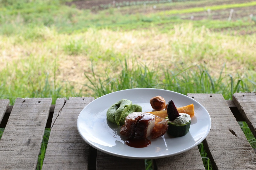 portada-del-campo-a-la-mesa