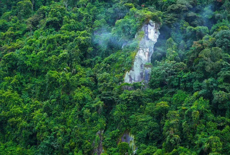 cerro tusa interna