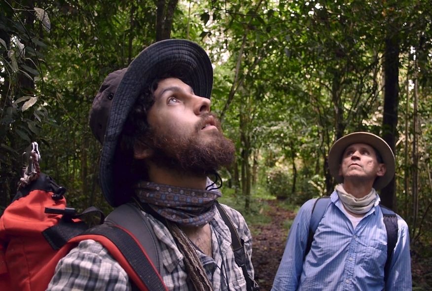 homo-botanicus-pelicula