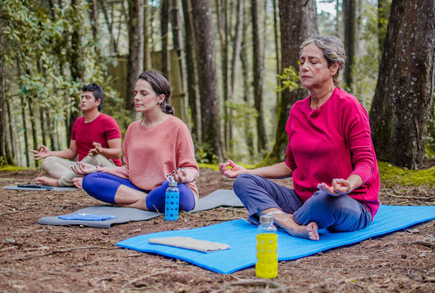 plenarios-independientes