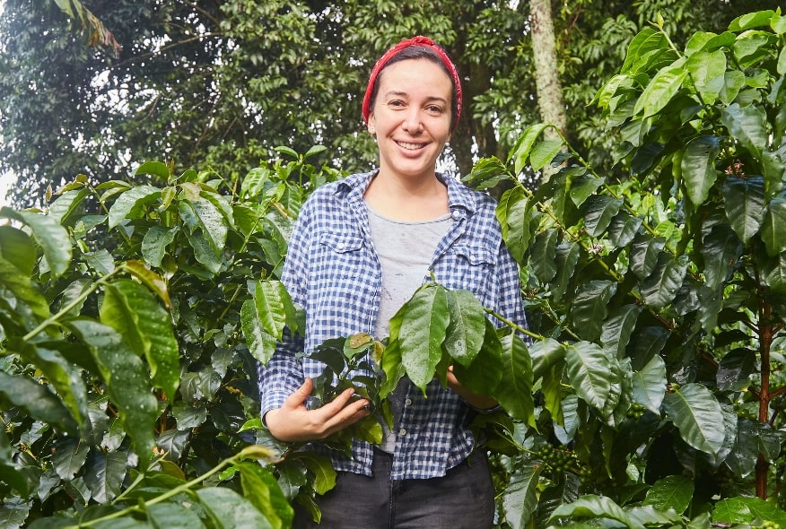 Agromandala