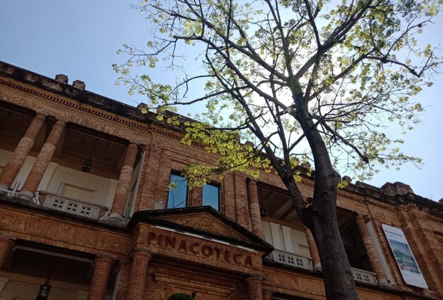 Cabecera Poder transformador del arte_Pinacoteca