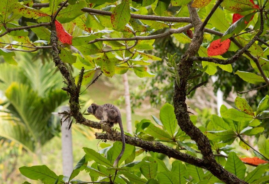 parque-marceleth-naturaleza