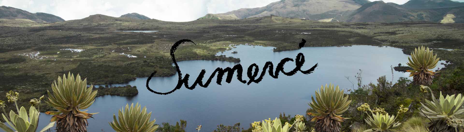 sumerce-pelicula-colombiana