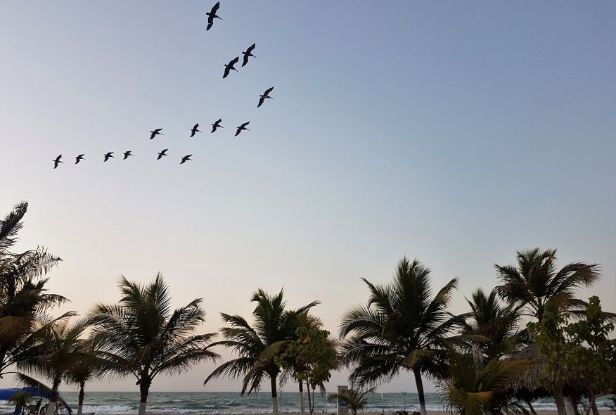 testimonio-covenas-viajes-comfama