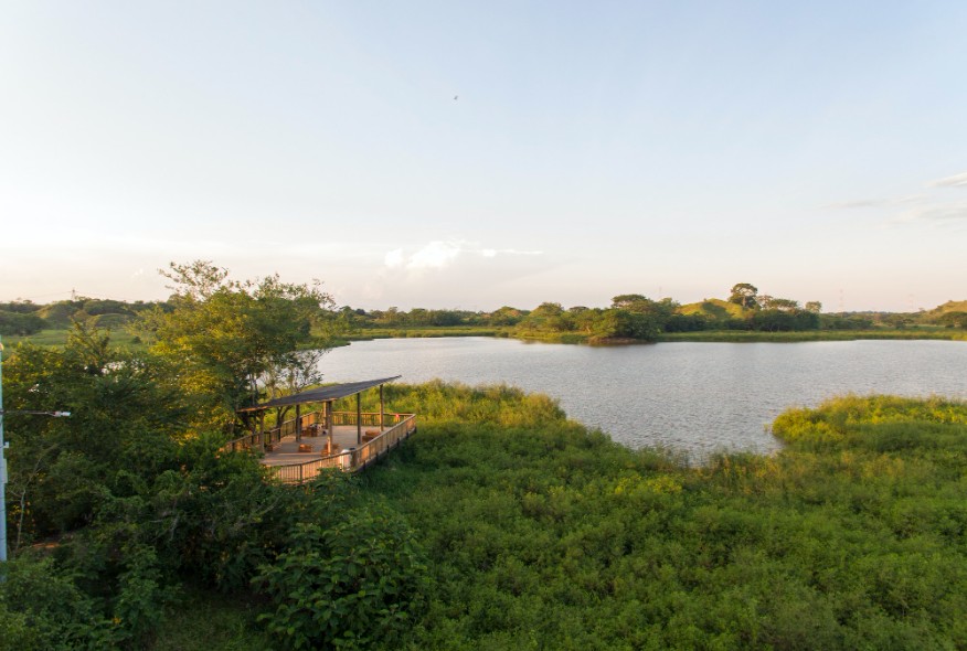 El Parque Comfama Humedal La Samaria Es Una Realidad