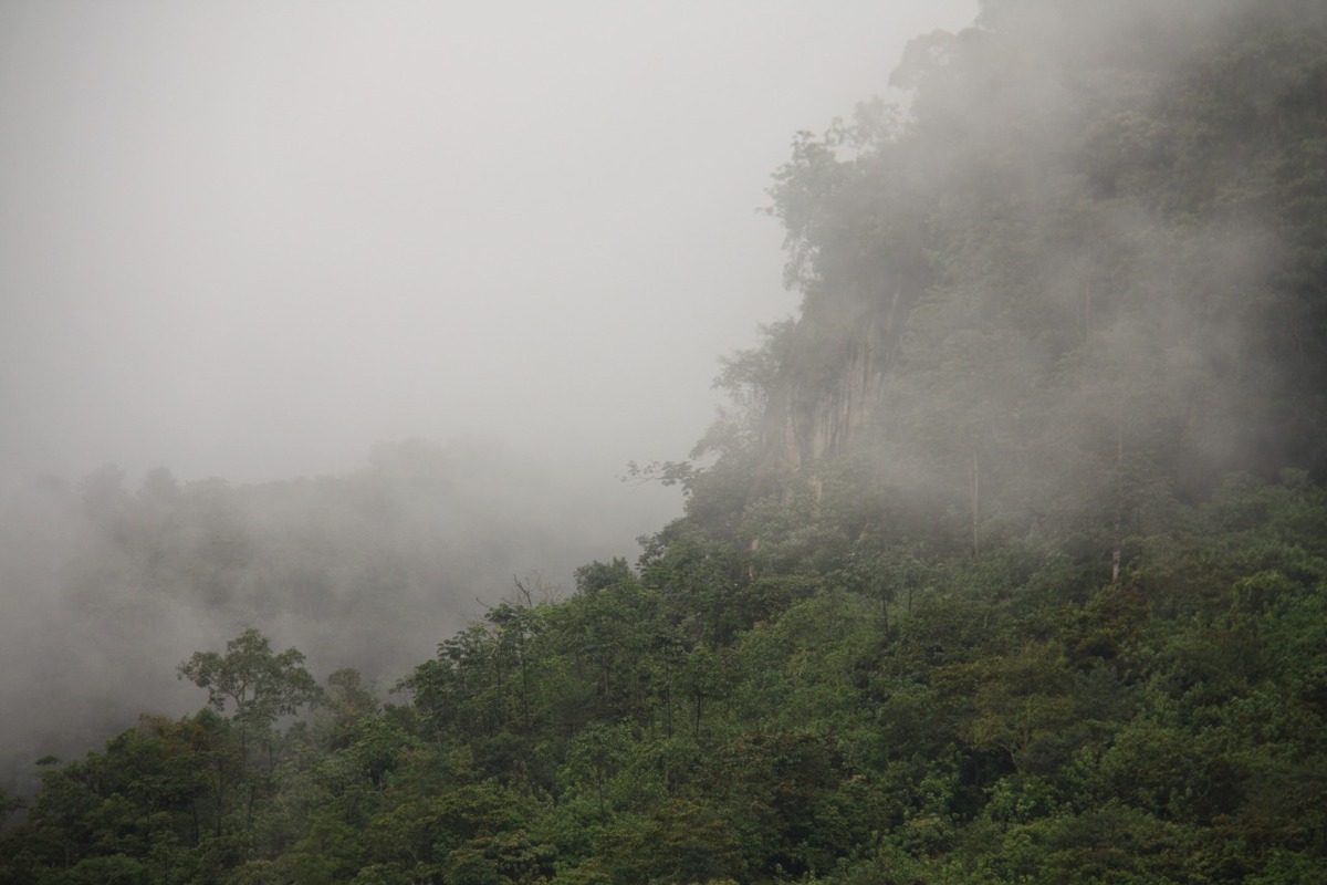 Foto cabecera > Bioeconomía