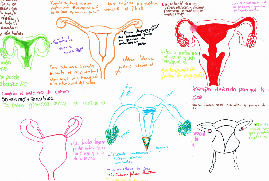 dibujos-de-uteros