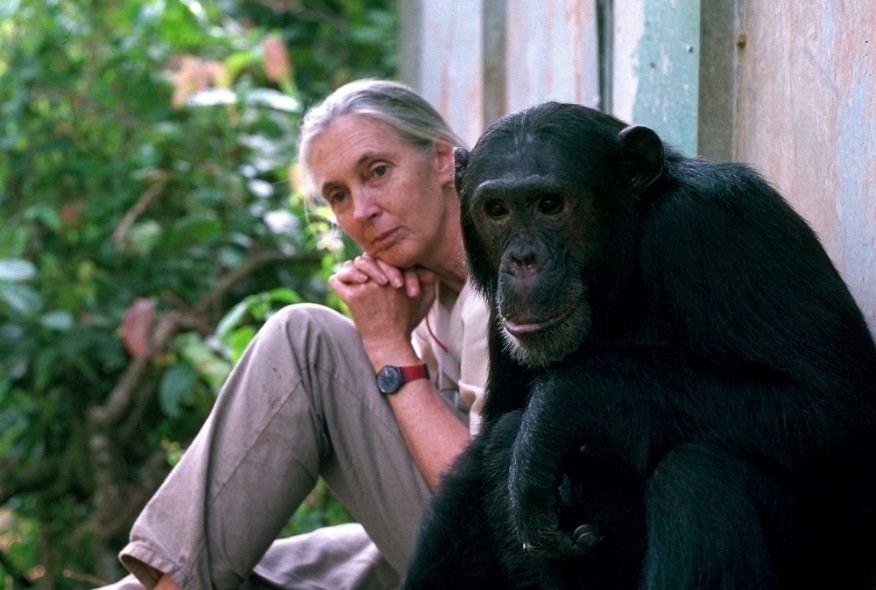 Jane Goodall