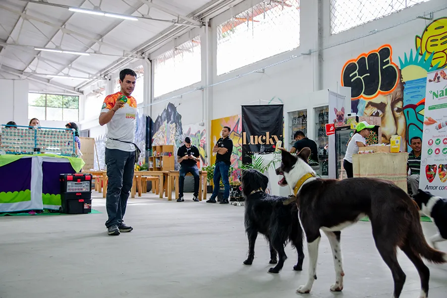 juego-con-mascotas
