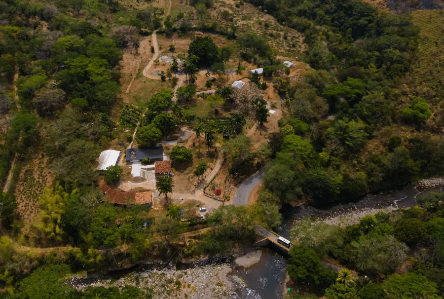 Biosuroeste
