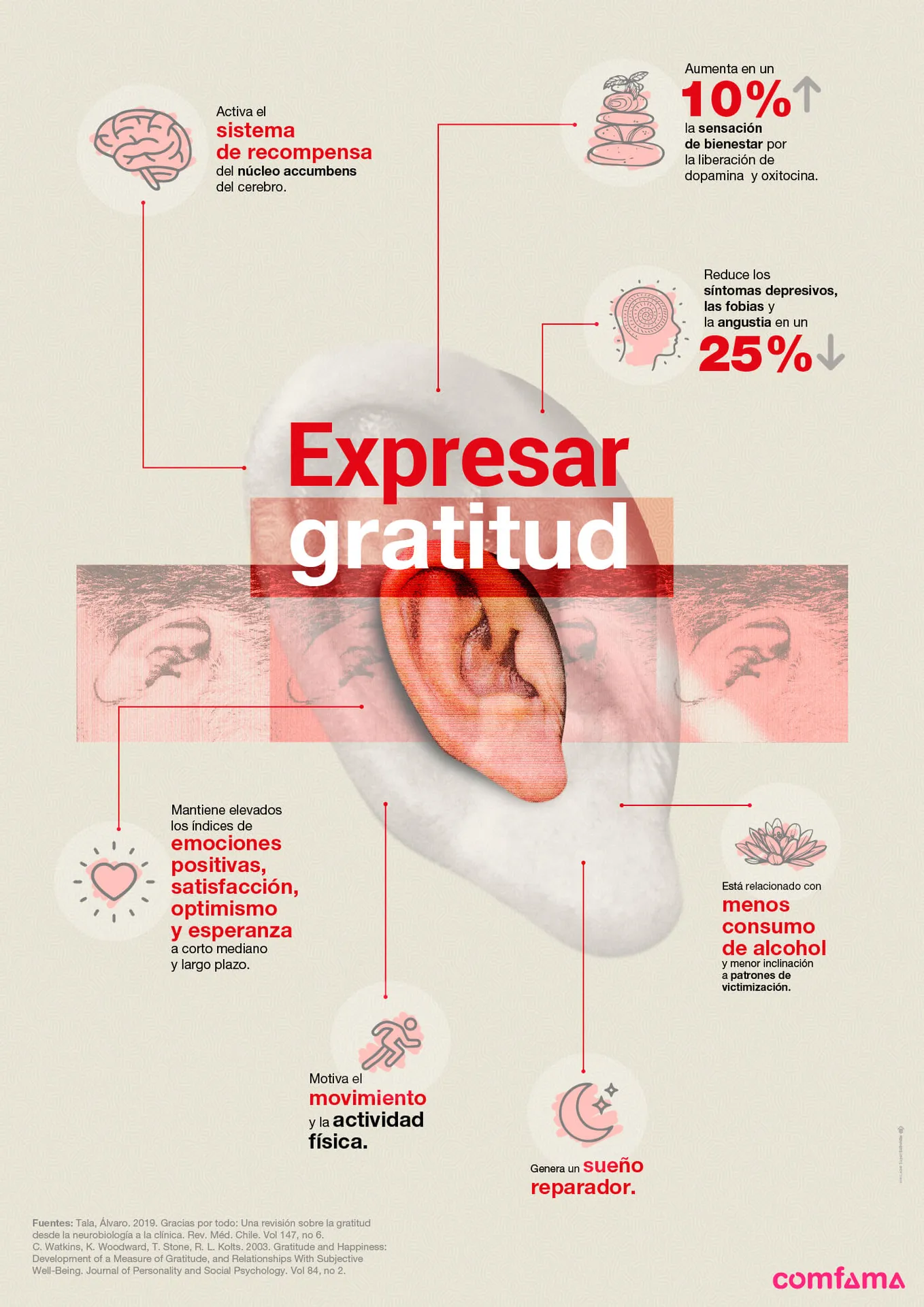 infografico gratitud 1