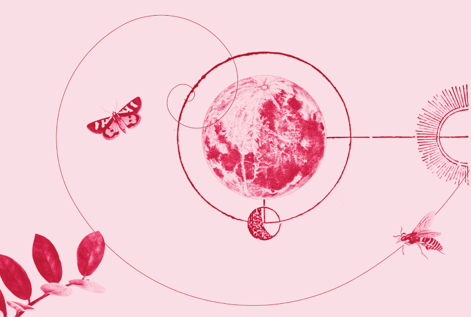 foro-liderazgo-estrategia