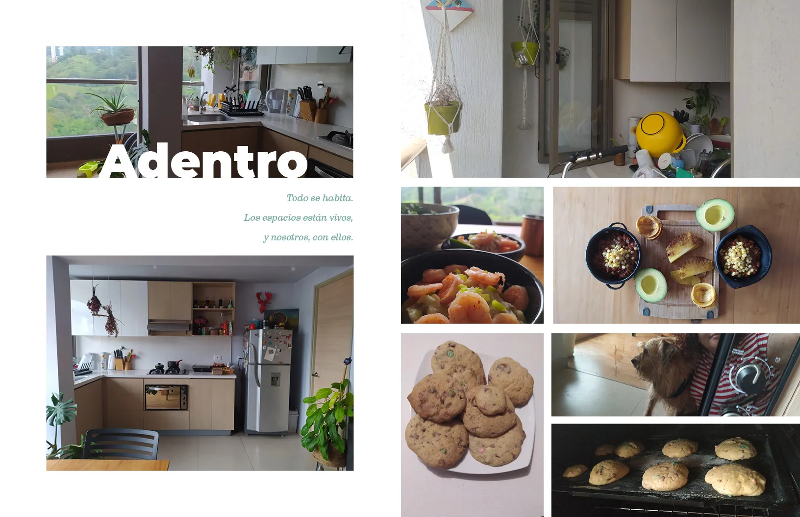 medellin_a_solas_veinticuatro_cero_siete_5