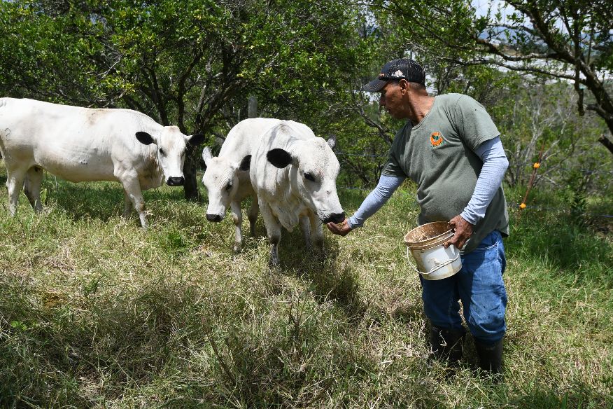 Plataforma AGRO