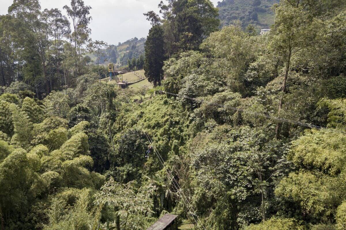 biodiversidad-la-estrella (1)