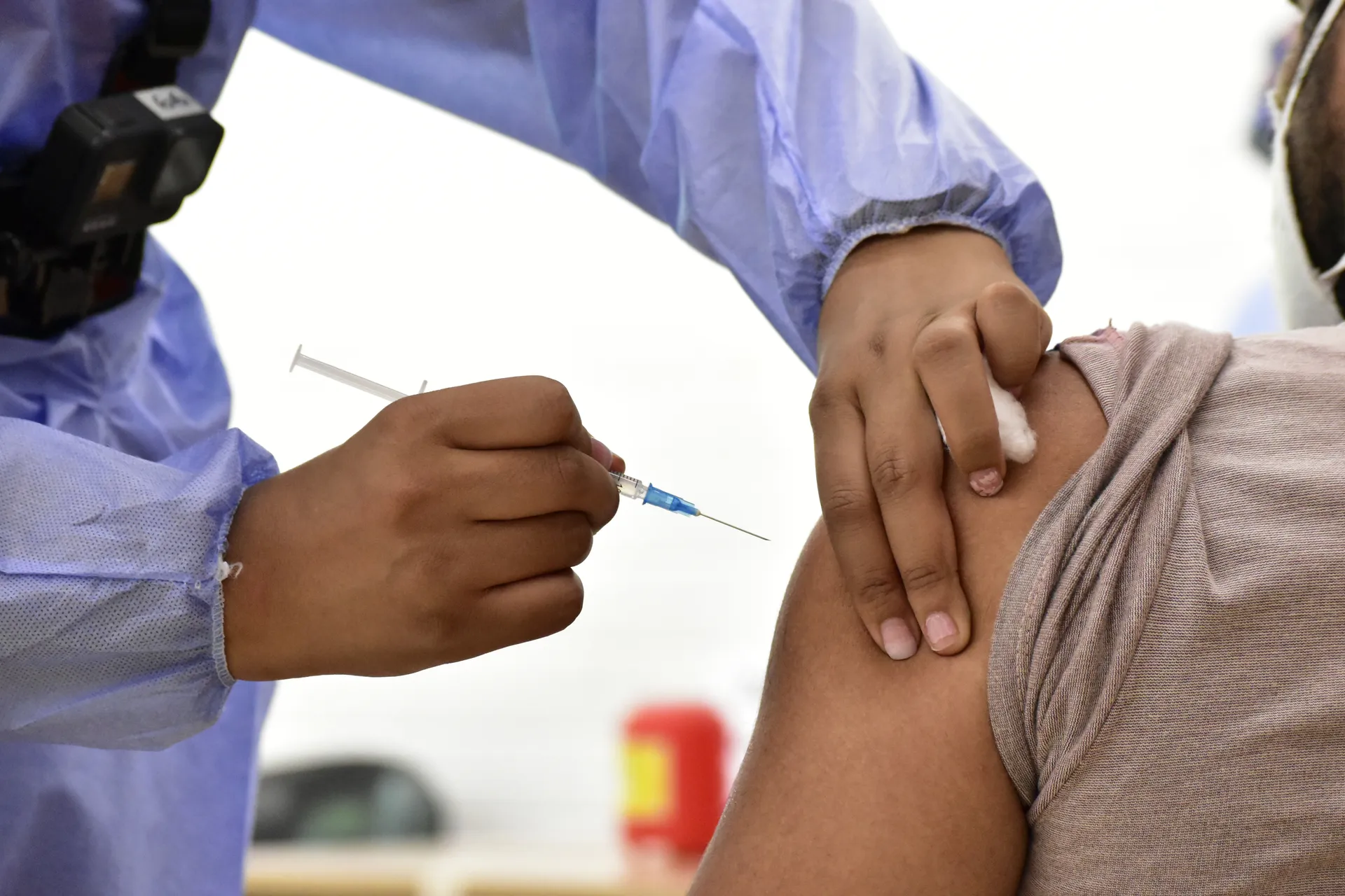 Imagen > Vacuna Fiebre Tifoidea