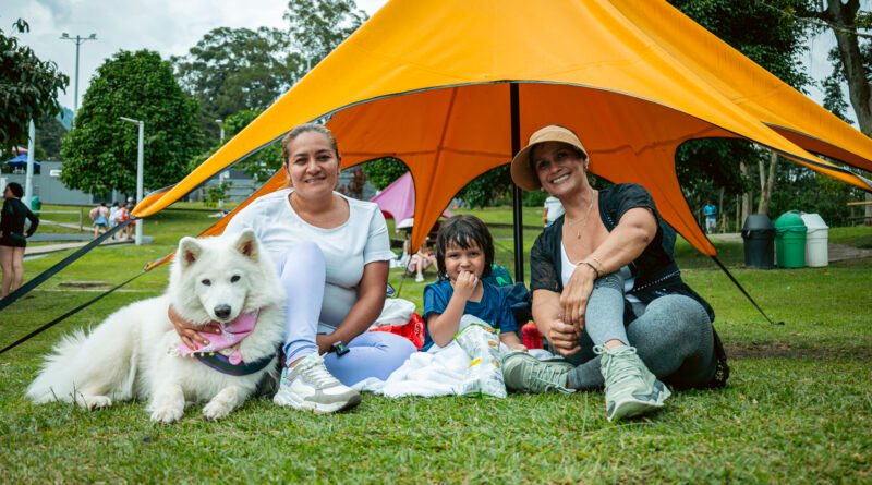 Foto Puente de reyes 2025