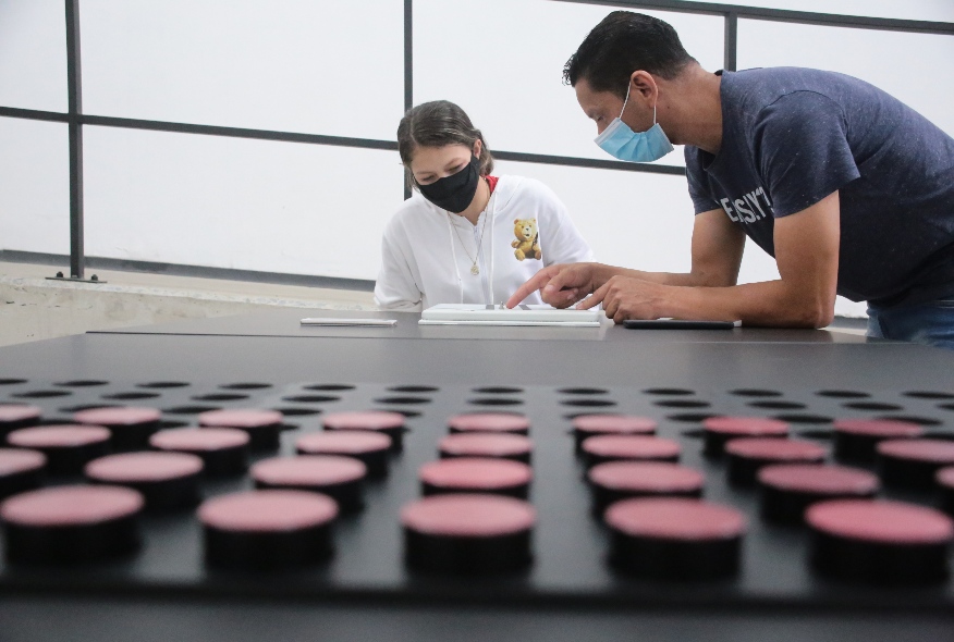 portada-educación-mipymes