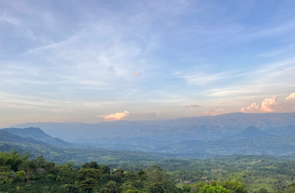 Foto cabecera > Regenerar el suelo