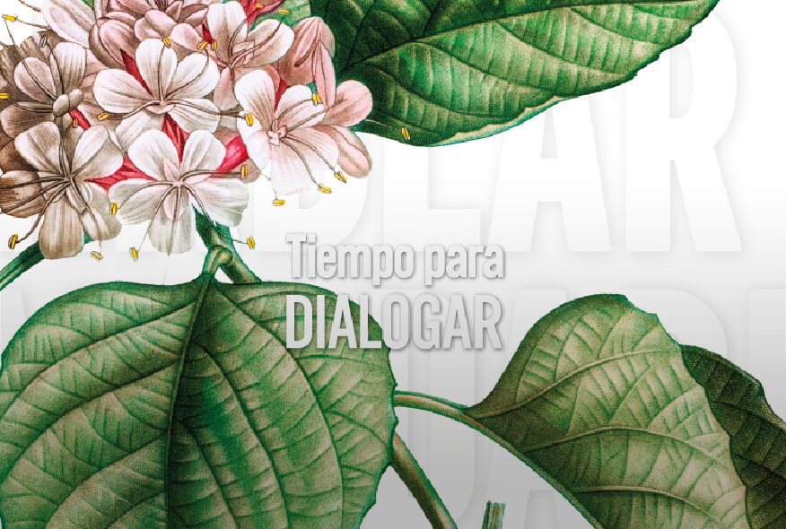 ¿Cómo despolarizarnos?