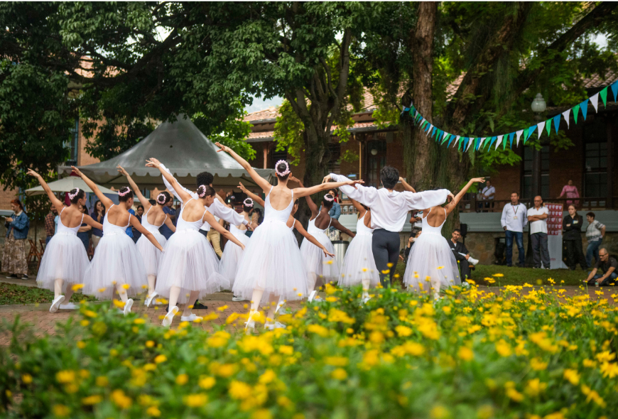 Alianza Ballet Metropolitano