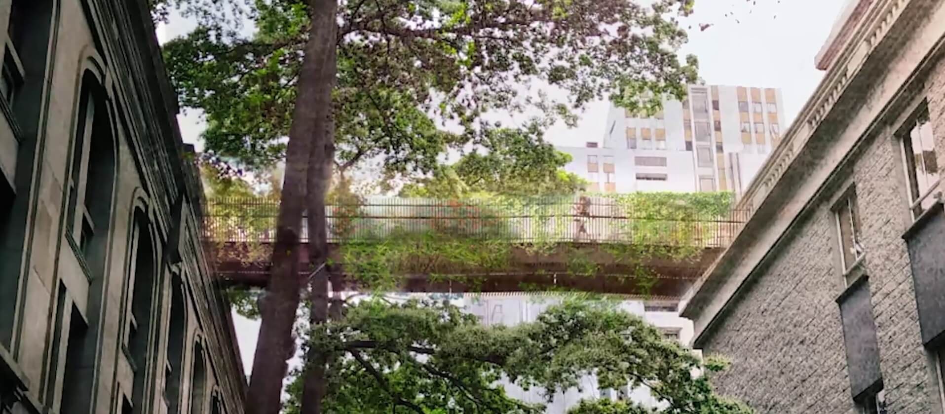puente-peatonal-claustro-comfama