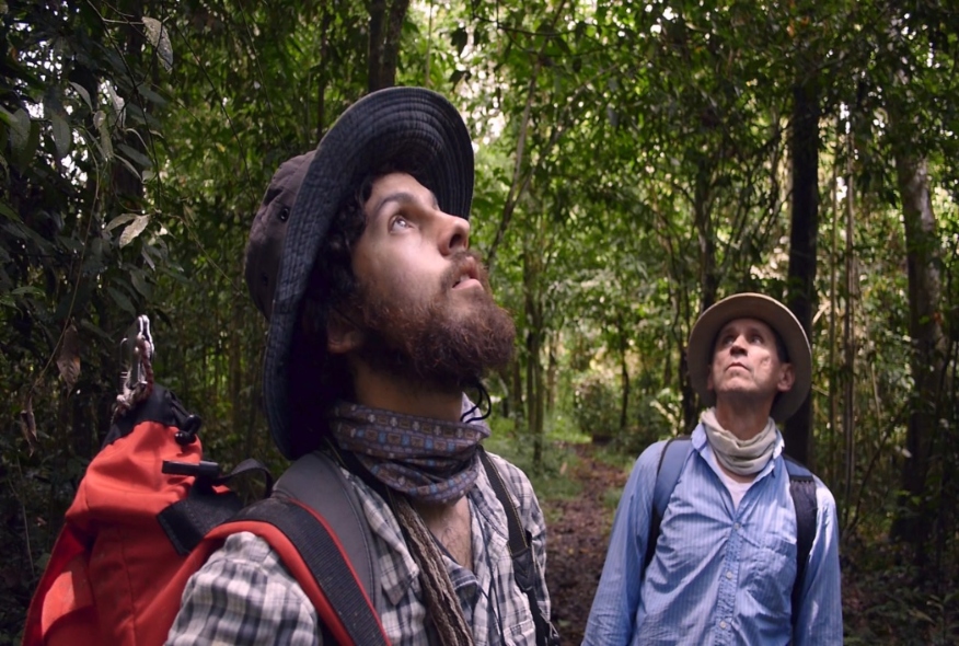 Foto > Homo botanicus