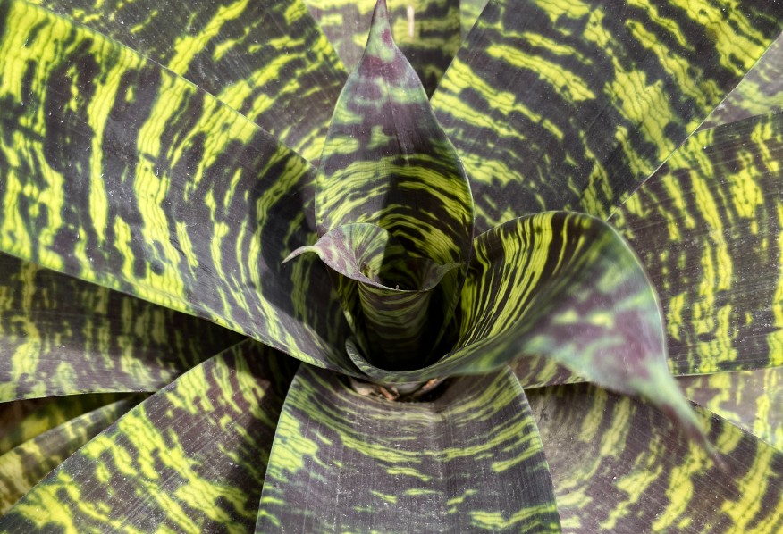 texturas-parque-comfama-la-estrella-1