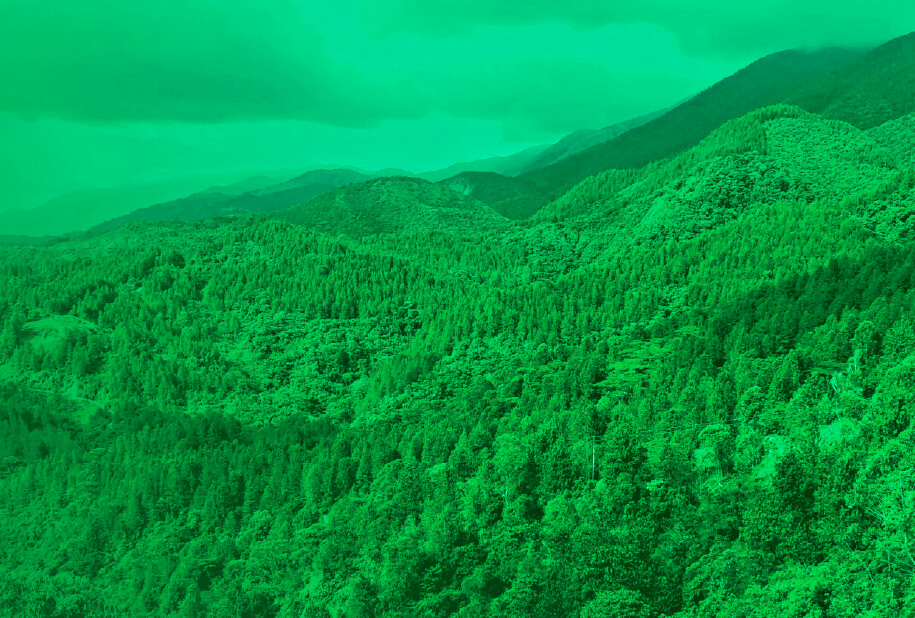 Biosuroeste: un emprendimiento social con propósito compartido