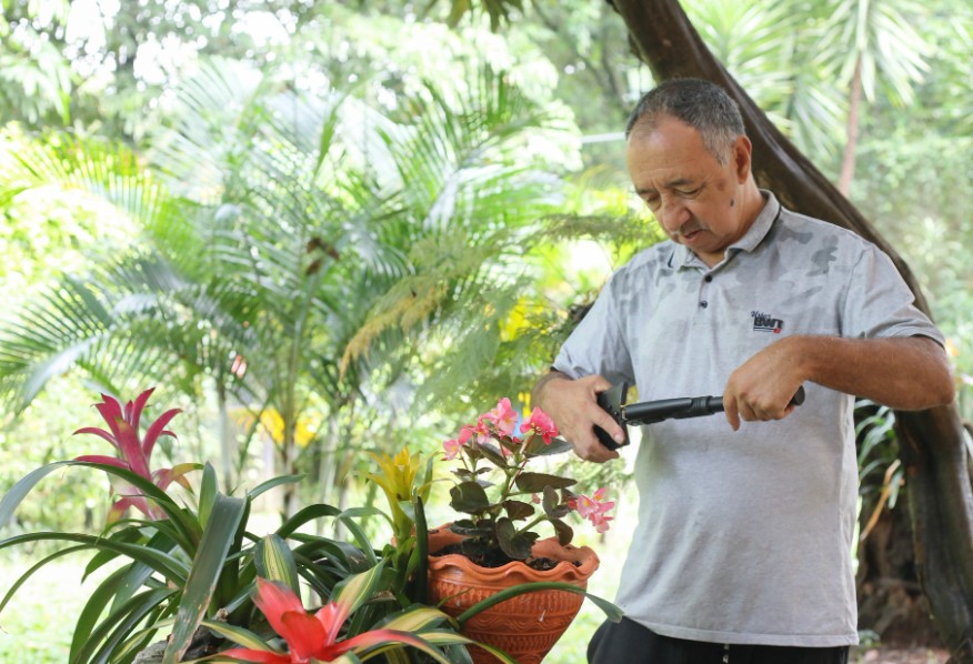 Agronegocios cabecera