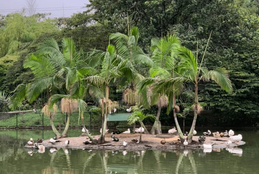 Parque Copacabana